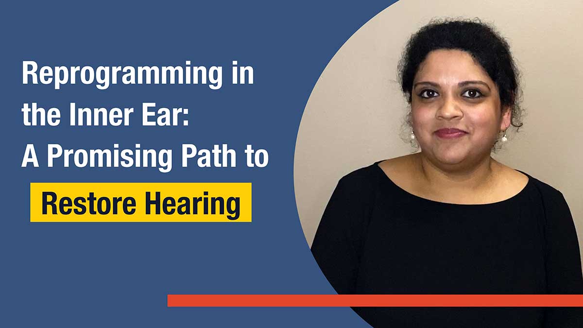 Hearing restoration: Amrita A. Iyer