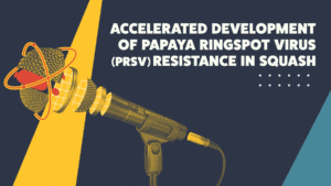 Part 2: Accelerated Development of Papaya Ringspot Virus (PRSV) Resistance in Squash