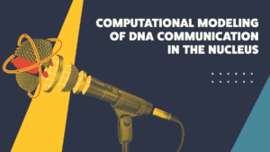 Part 2: Computational Modeling of DNA Communication in the Nucleus