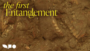 The First Entanglement